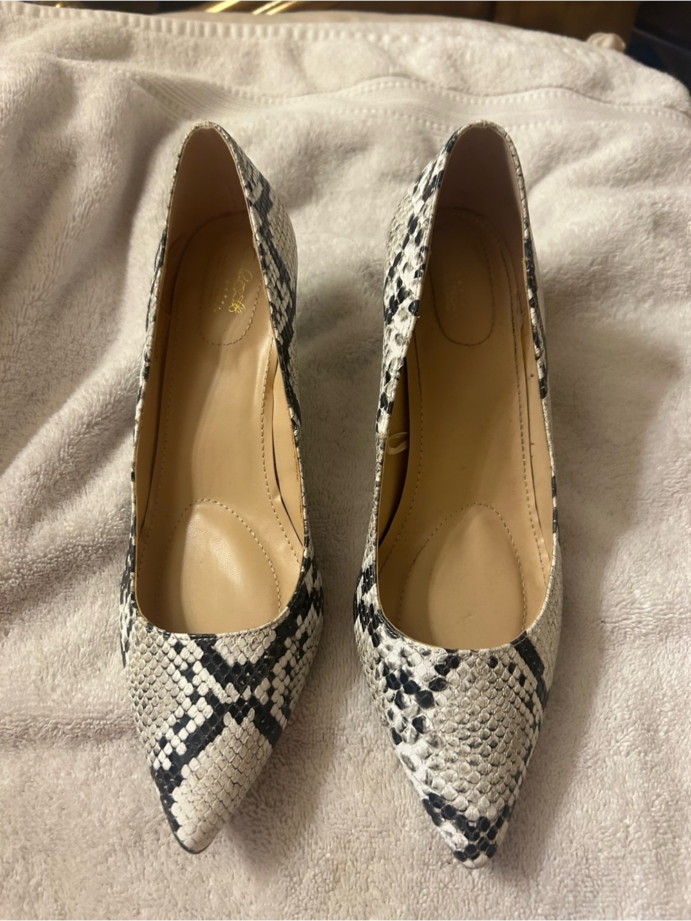 Pointed Toe Snake-Print Pumps in Black & White